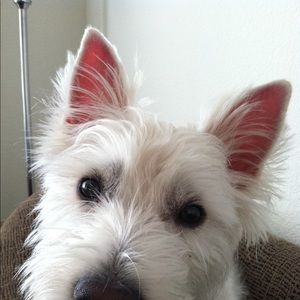 Meet your Posher, Katherine